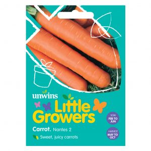 Carrot Nantes 2