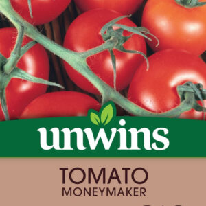 Tomato (Round) Moneymaker