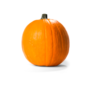 Pumpkin Standard