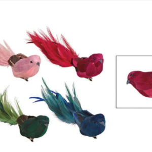 Bird with clip