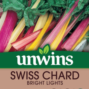Swiss Chard Bright Lights