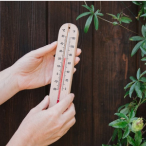 Wooden Thermometer