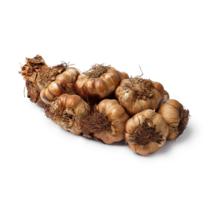 Fresh Garlic - Smoked Garlic Large Bulb (S)