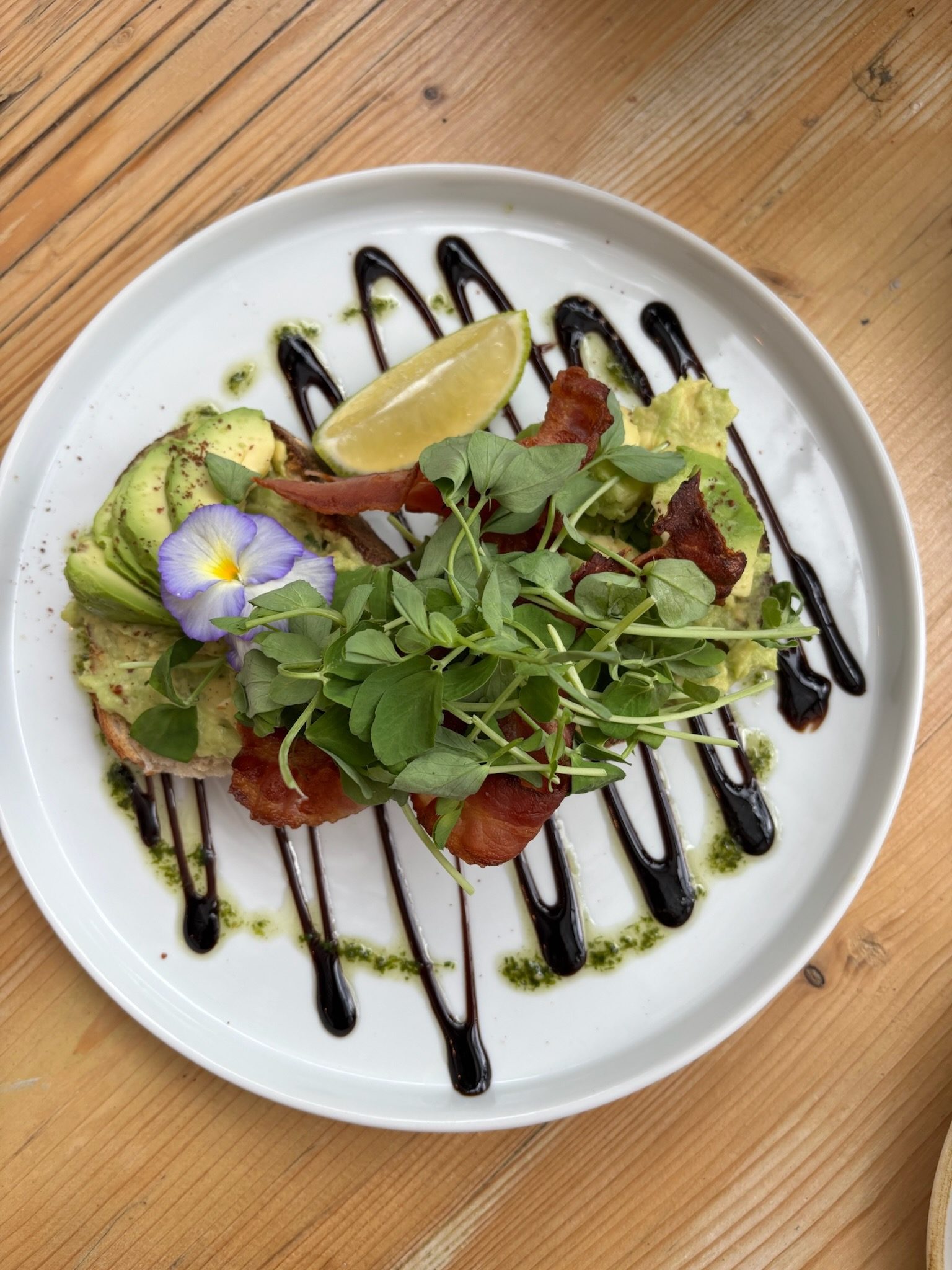 Roost avocado toast on sourdough with seeds and microgreens