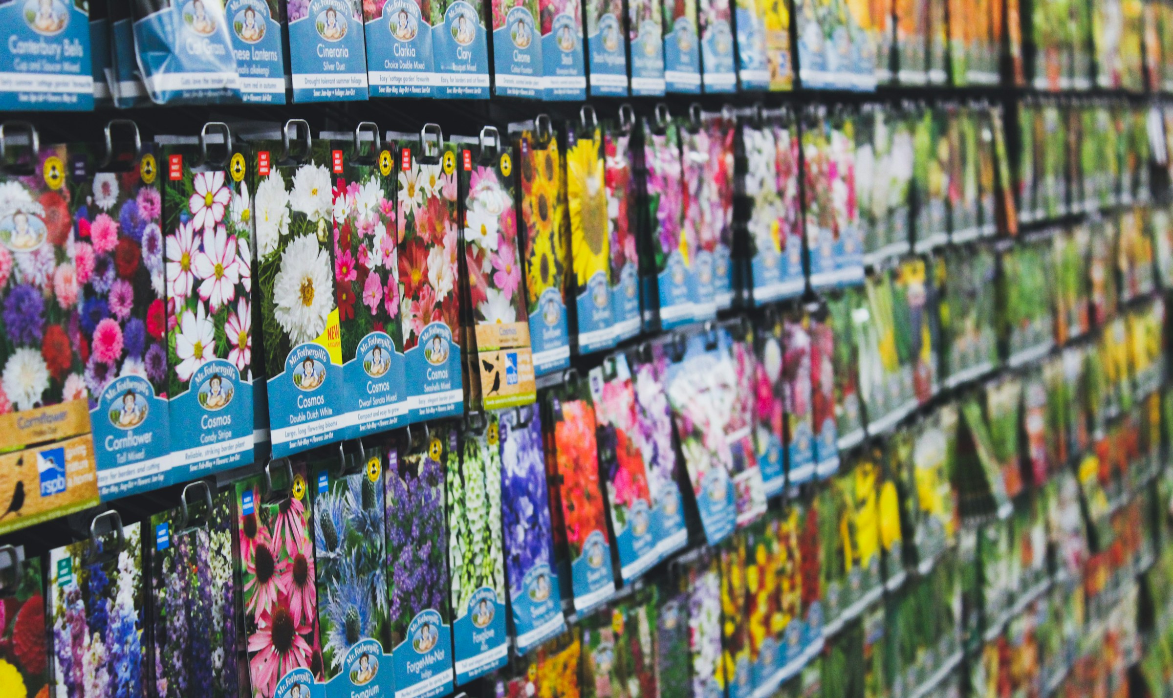 Seed packet display wall at Stone Cross
